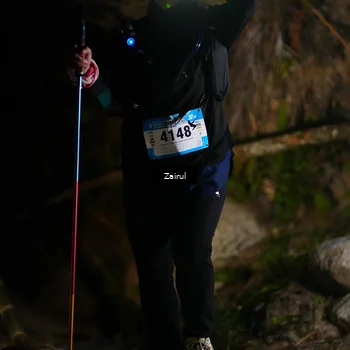 Runner Photo 5380451