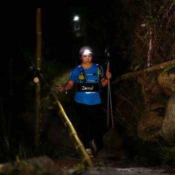 Runner Photo 5380969