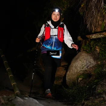 Runner Photo 5381044