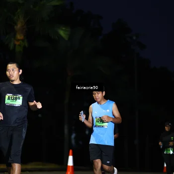 Runner Photo 5381047
