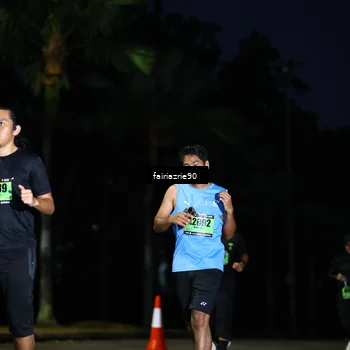 Runner Photo 5381060