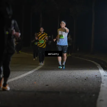 Runner Photo 5381074