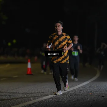 Runner Photo 5381162