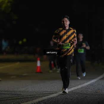 Runner Photo 5381184
