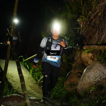 Runner Photo 5381461