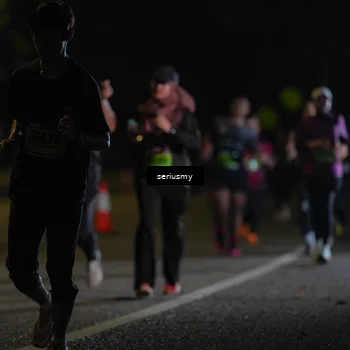 Runner Photo 5381595