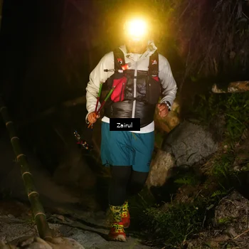 Runner Photo 5381789