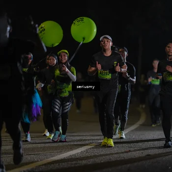 Runner Photo 5381816