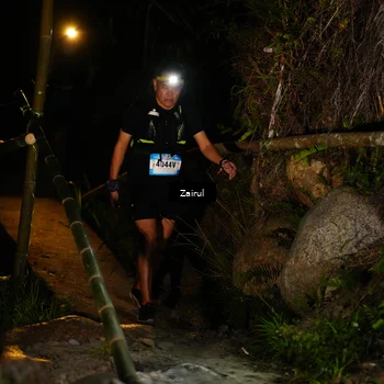 Runner Photo 5381849