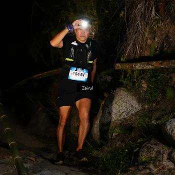 Runner Photo 5381860