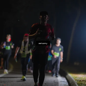 Runner Photo 5381969