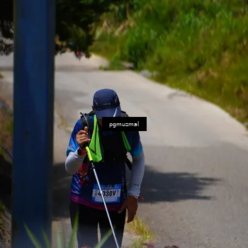 Runner Photo 5382641
