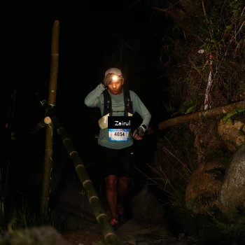 Runner Photo 5382703