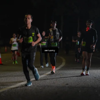 Runner Photo 5382712