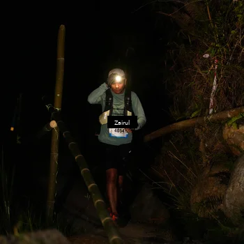 Runner Photo 5382713