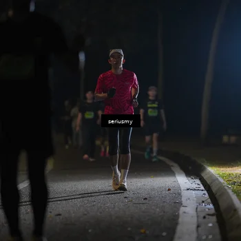 Runner Photo 5382813