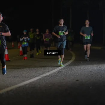 Runner Photo 5383128