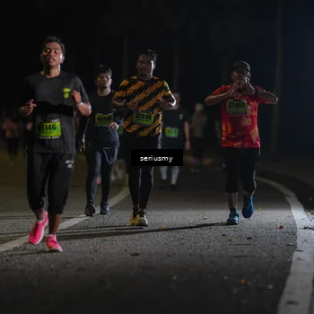 Runner Photo 5383477