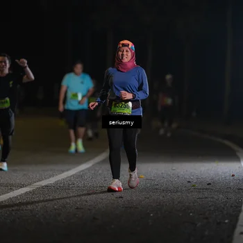Runner Photo 5384071