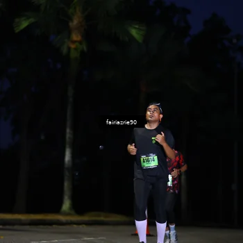 Runner Photo 5384116