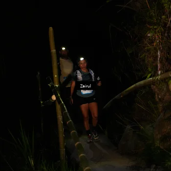 Runner Photo 5384201