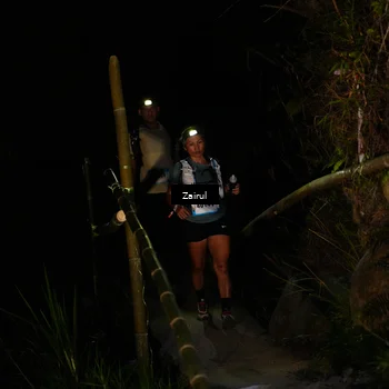 Runner Photo 5384220