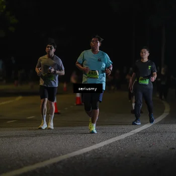 Runner Photo 5384403