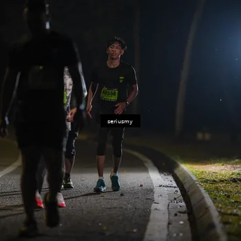 Runner Photo 5384597
