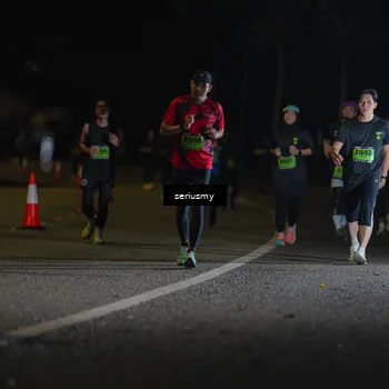 Runner Photo 5384740