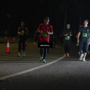 Runner Photo 5384745
