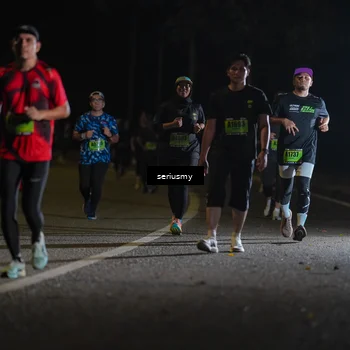 Runner Photo 5384748