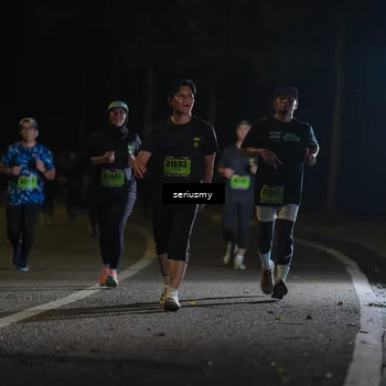 Runner Photo 5384762