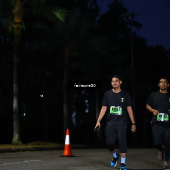 Runner Photo 5384887