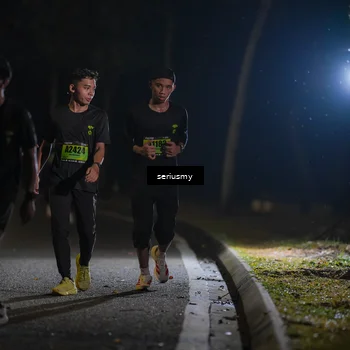 Runner Photo 5385203