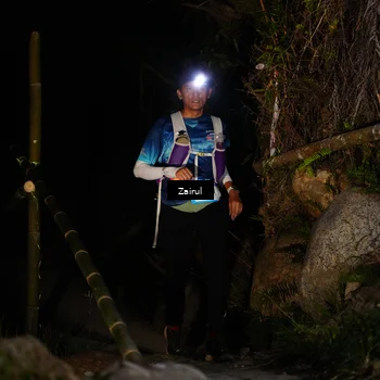 Runner Photo 5385677