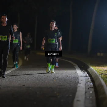 Runner Photo 5385713