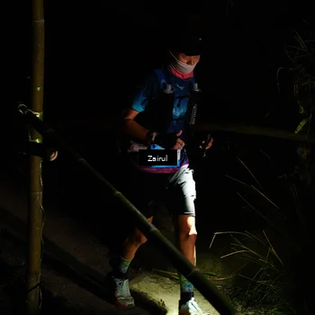 Runner Photo 5385872