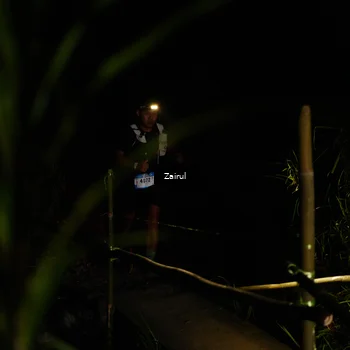 Runner Photo 5385936