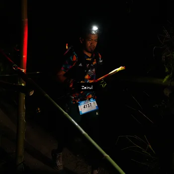 Runner Photo 5385949