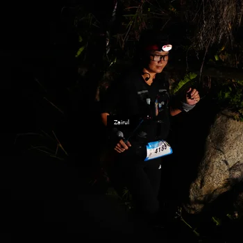 Runner Photo 5385986