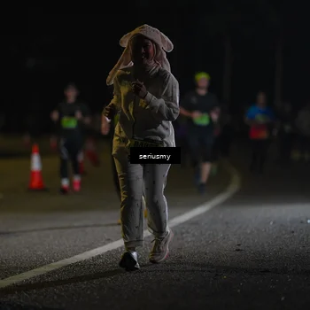 Runner Photo 5385987