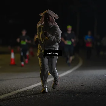 Runner Photo 5385993