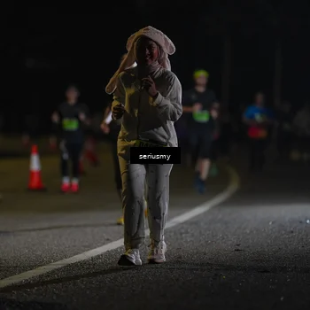 Runner Photo 5385996