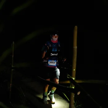 Runner Photo 5386002