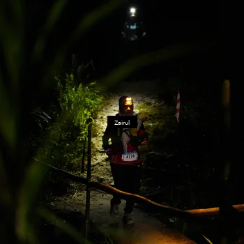 Runner Photo 5386037