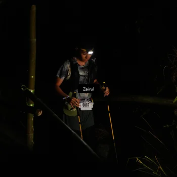 Runner Photo 5386043