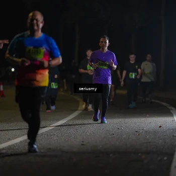 Runner Photo 5386065