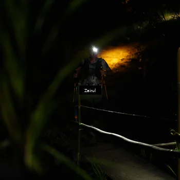 Runner Photo 5386099