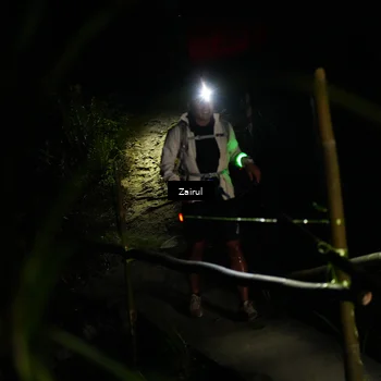 Runner Photo 5386148