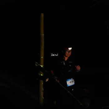 Runner Photo 5386158